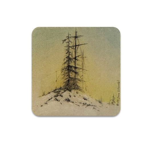 S11 Brooks Shane Salzwedel - Coaster 2