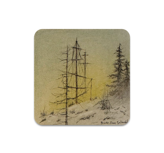 S11 Brooks Shane Salzwedel - Coaster 3