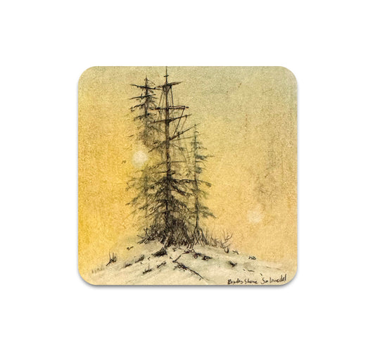 S11 Brooks Shane Salzwedel - Coaster 5