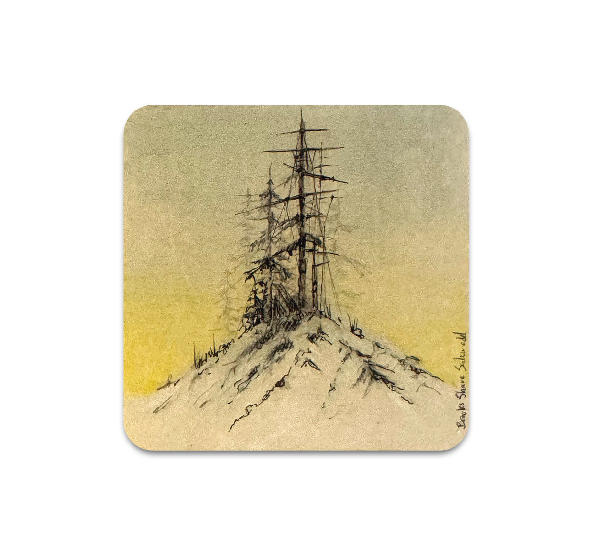 S11 Brooks Shane Salzwedel - Coaster 6