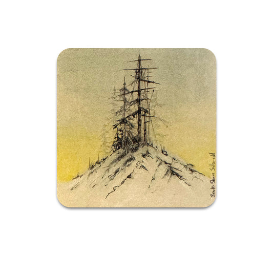 S11 Brooks Shane Salzwedel - Coaster 6
