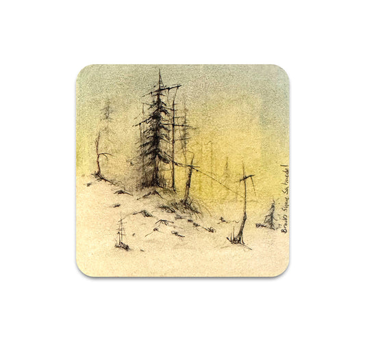 S11 Brooks Shane Salzwedel - Coaster 7