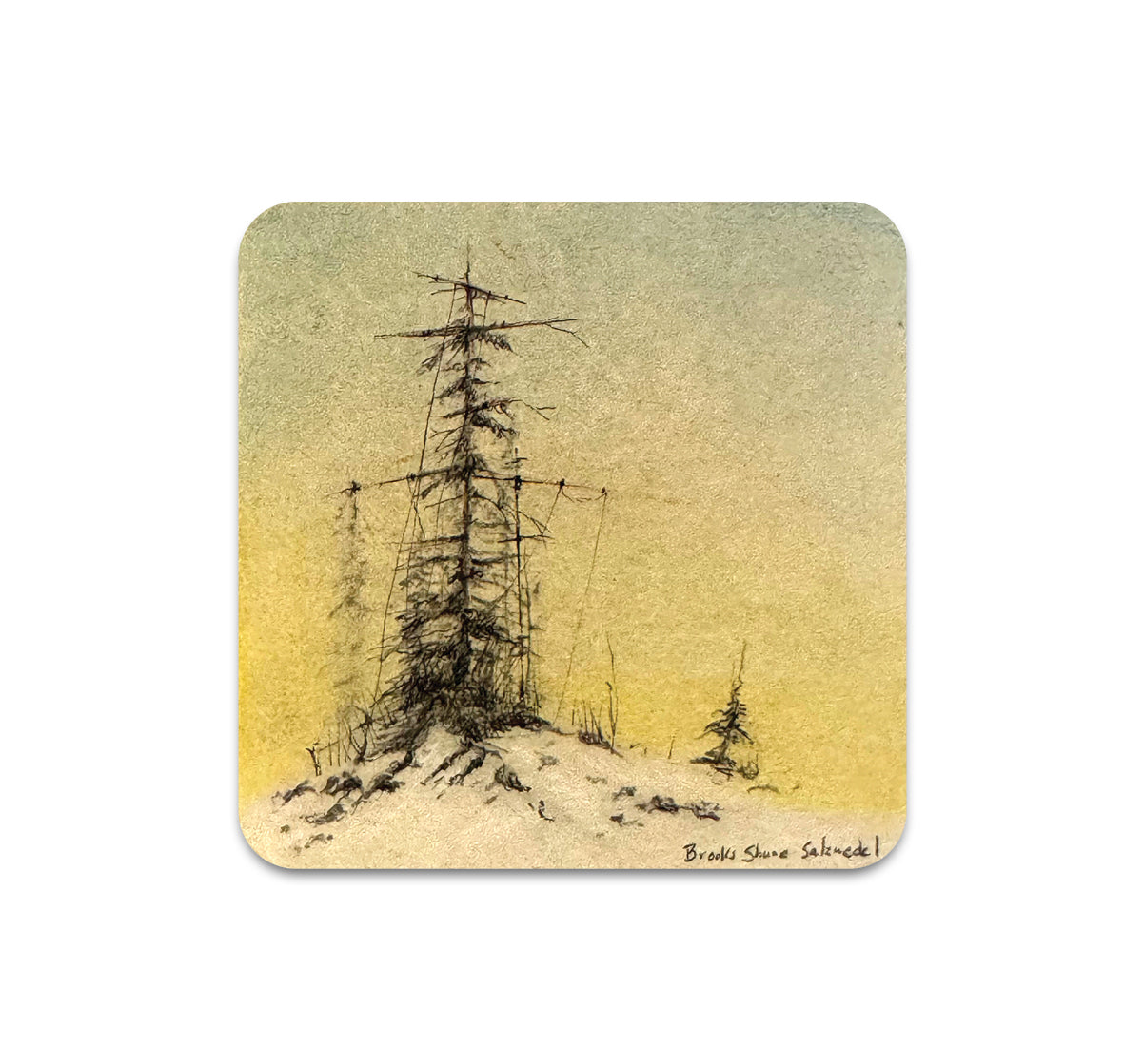 S11 Brooks Shane Salzwedel - Coaster 8