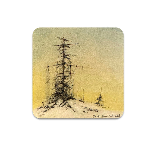 S11 Brooks Shane Salzwedel - Coaster 8