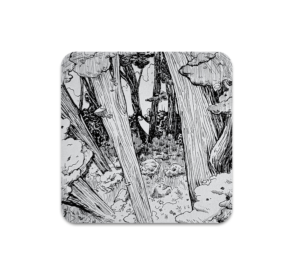 S11 Chelsea Beck - Coaster 1