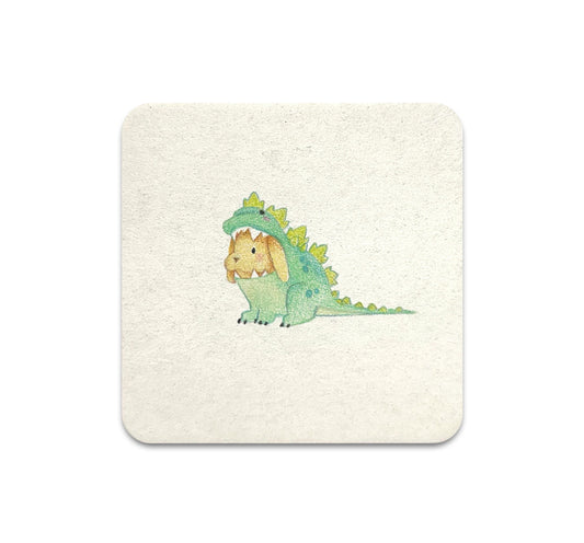 S11 Chelsea Blecha - Coaster 1