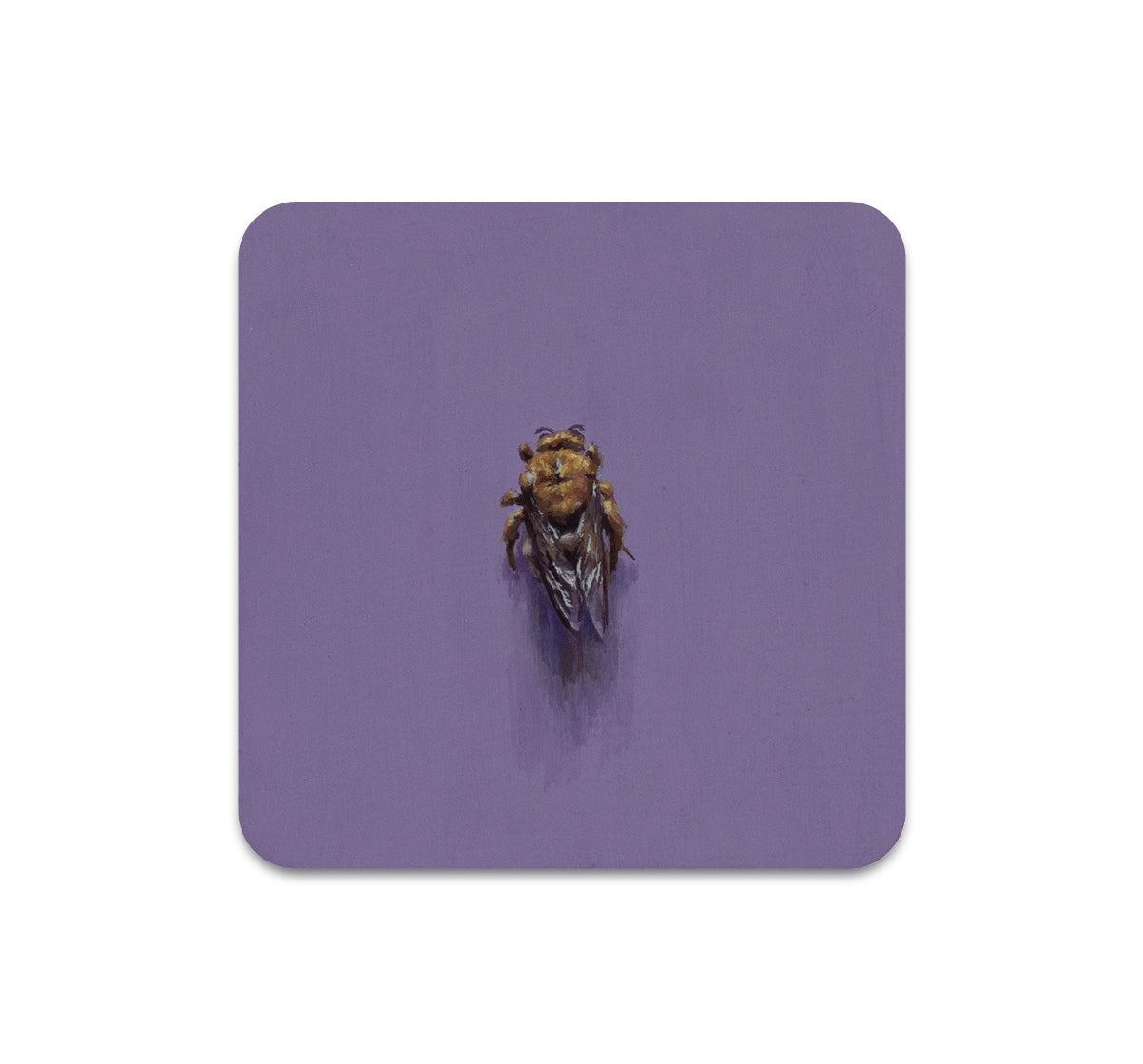 S11 Cody Jimenez - Coaster 2