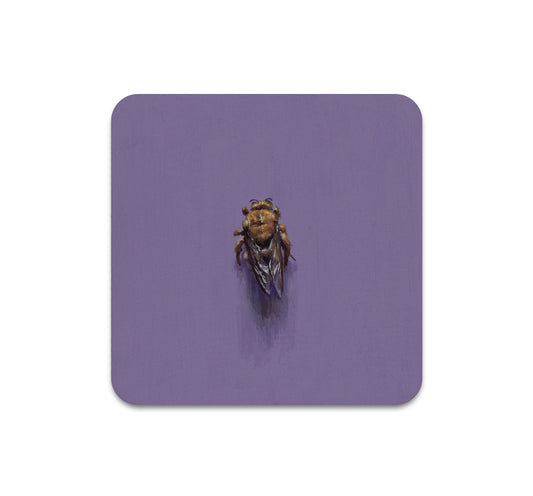 S11 Cody Jimenez - Coaster 2