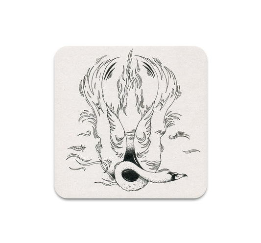 S11 Cristina Bencina - Coaster 2