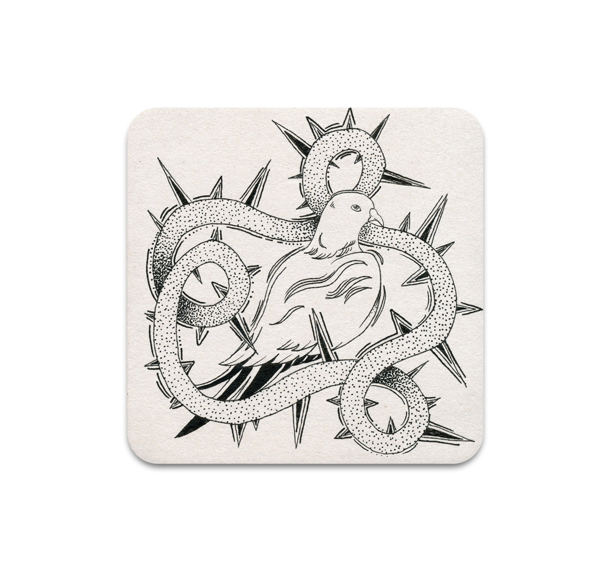 S11 Cristina Bencina - Coaster 3