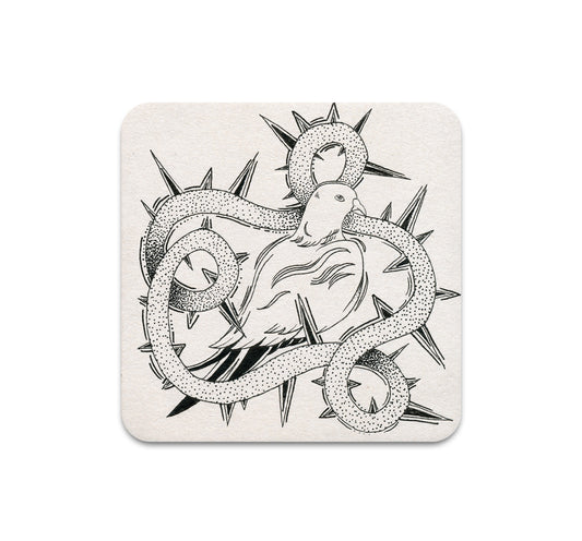 S11 Cristina Bencina - Coaster 3