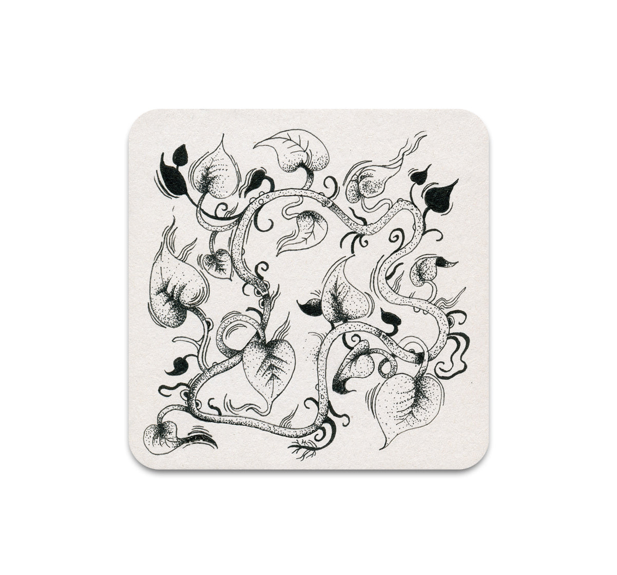 S11 Cristina Bencina - Coaster 4