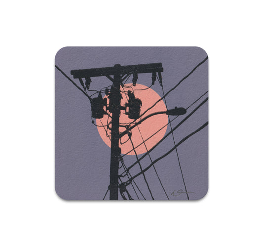 S11 Dan McCarthy - Coaster 3