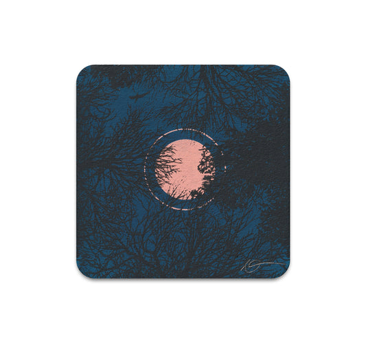 S11 Dan McCarthy - Coaster 6