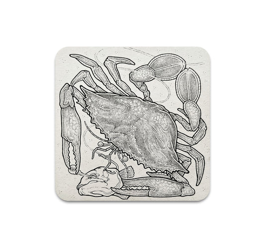 S11 Dylan Jones - Coaster 1