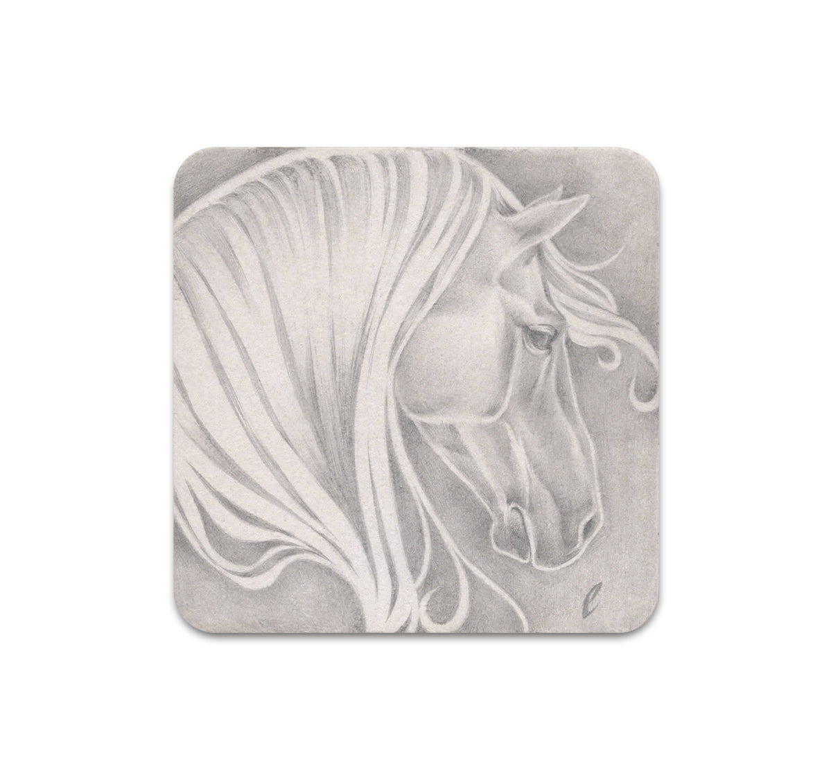 S11 Edward Cao - Coaster 1