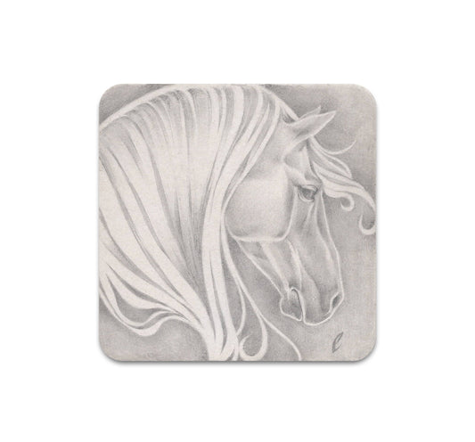 S11 Edward Cao - Coaster 1