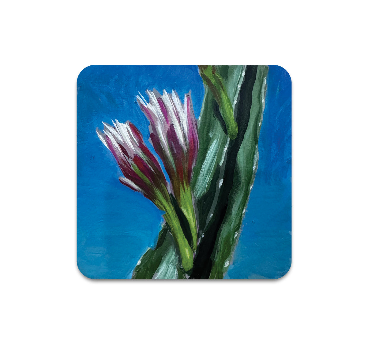 S11 Frank Gonzales - Coaster 2