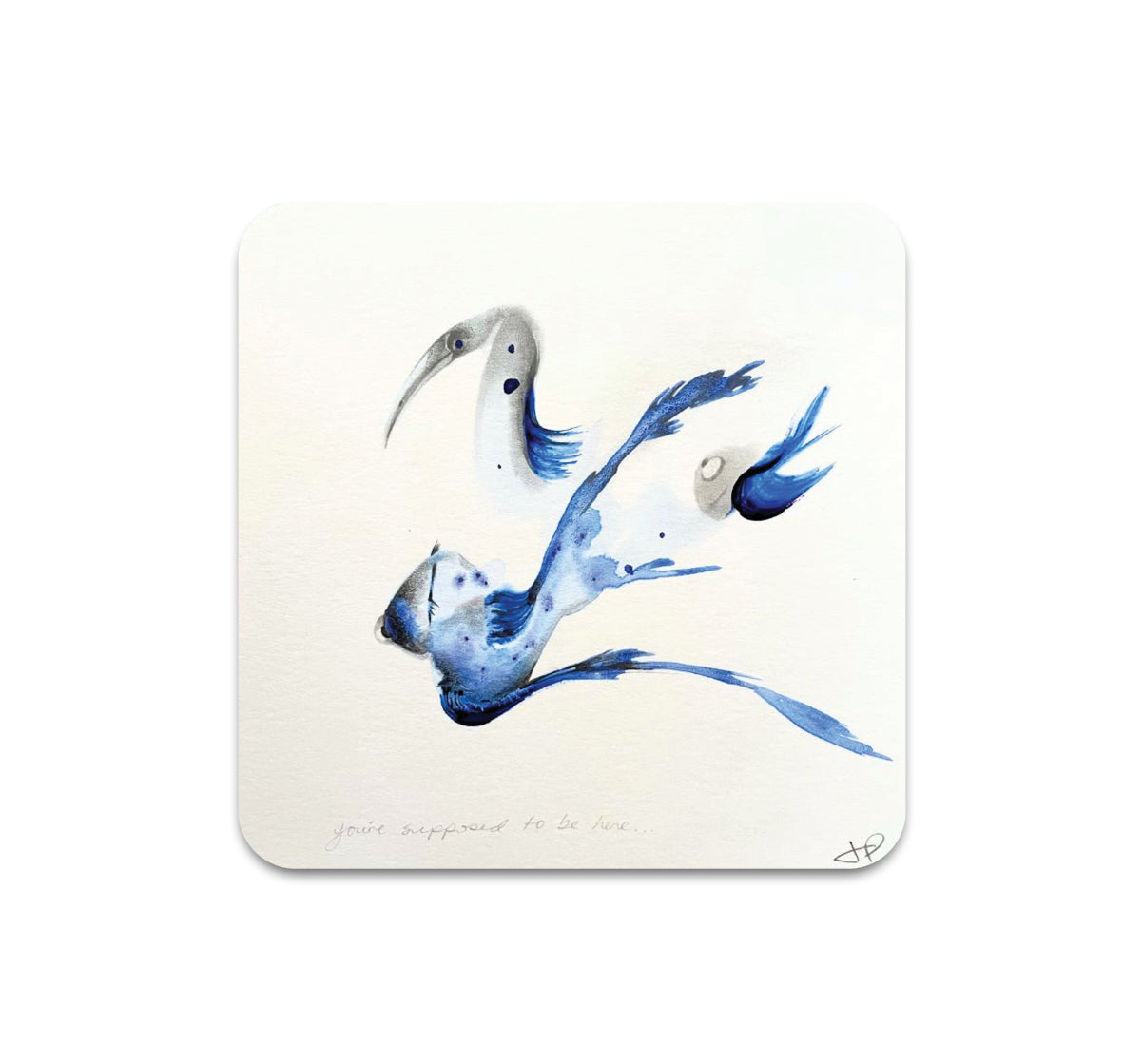 S11 JP Neang - Coaster 2