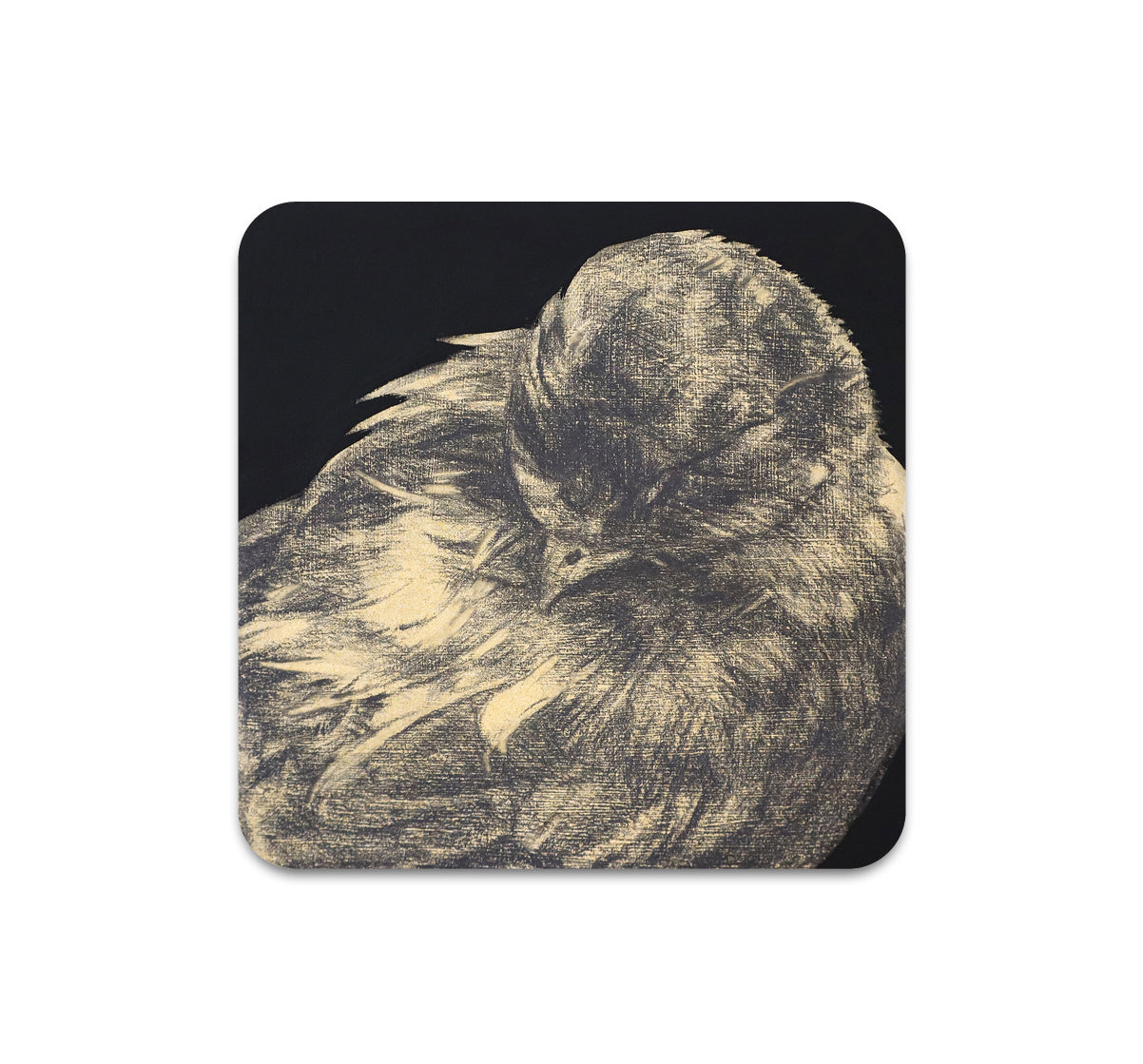 S11 James Thistlethwaite - Coaster 4