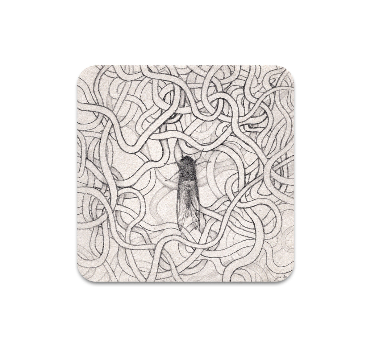 S11 Jamie Wells - Coaster 2