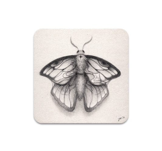 S11 Jamie Wells - Coaster 5