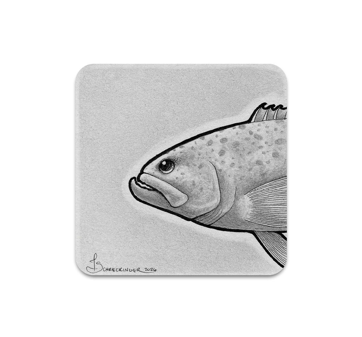 S11 Juliet Schreckinger - Coaster 4
