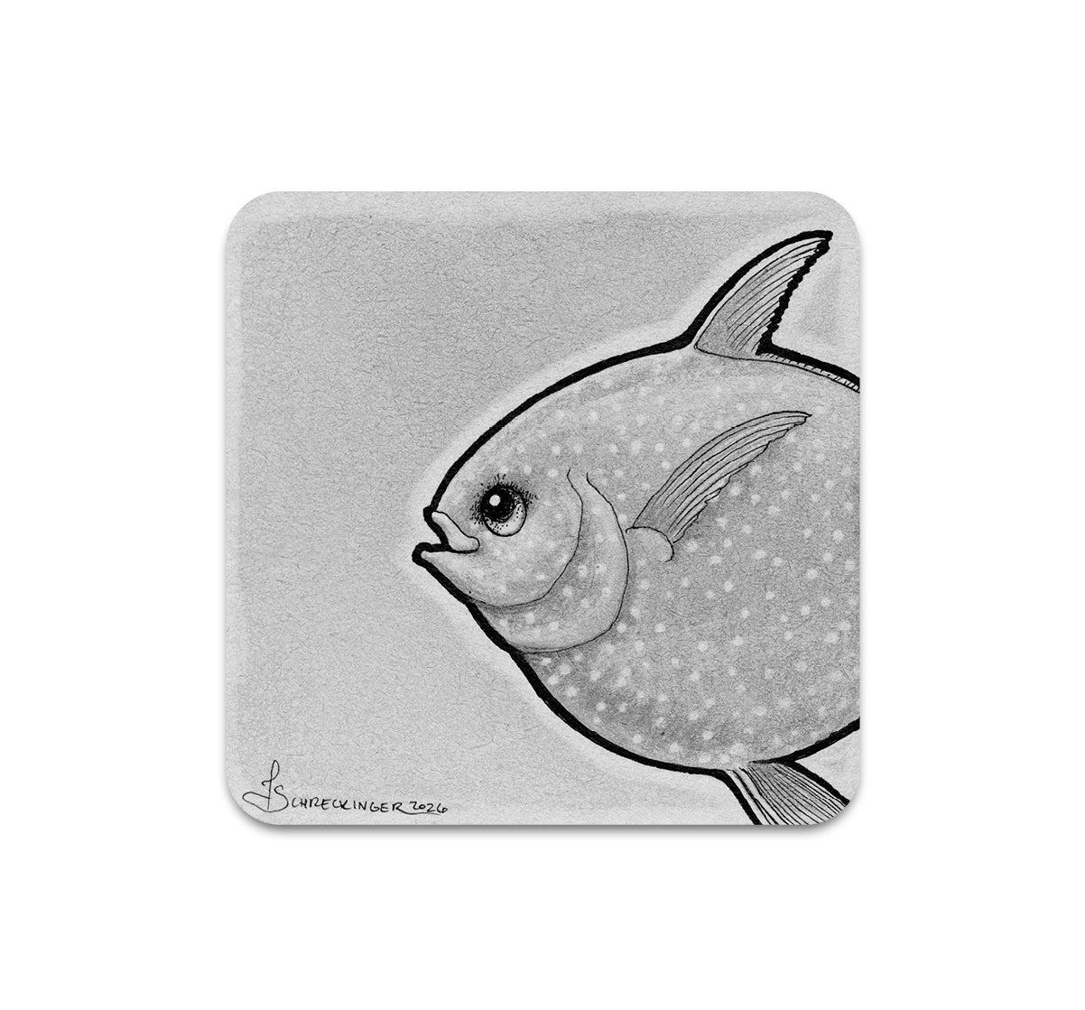 S11 Juliet Schreckinger - Coaster 5