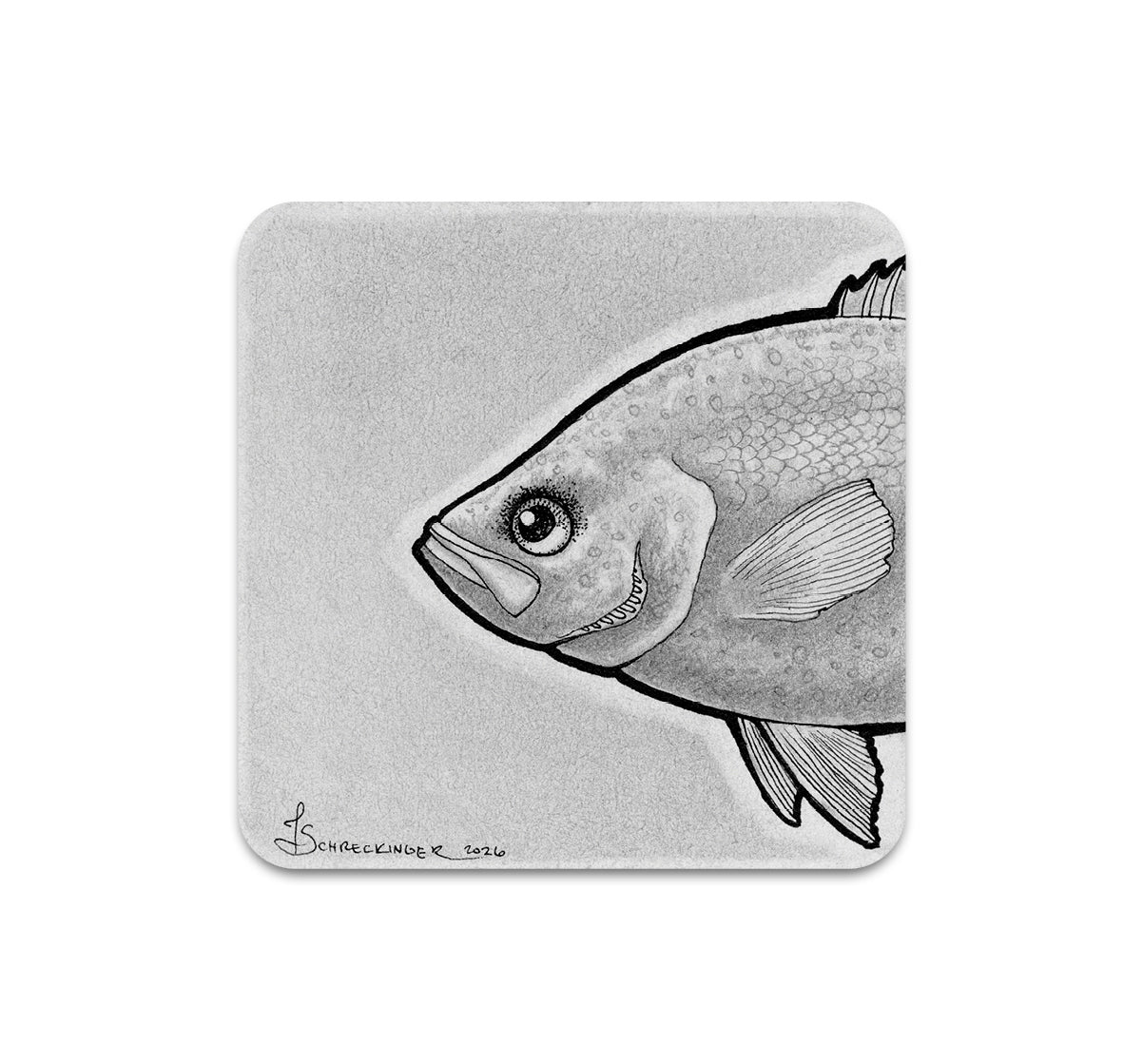 S11 Juliet Schreckinger - Coaster 7