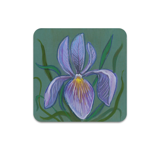 S11 Kelly Louise Judd - Coaster 4