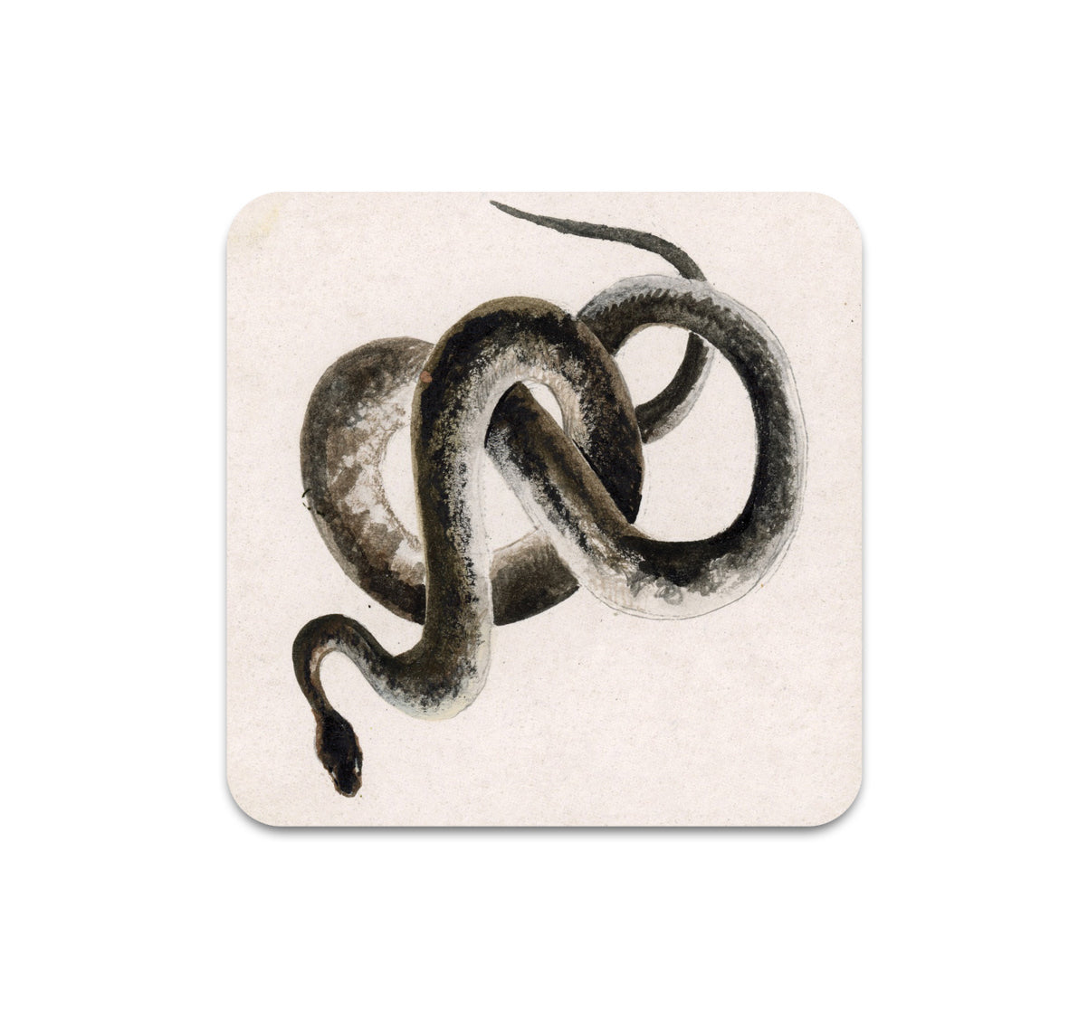 S11 Kevin Earl Taylor - Coaster 2