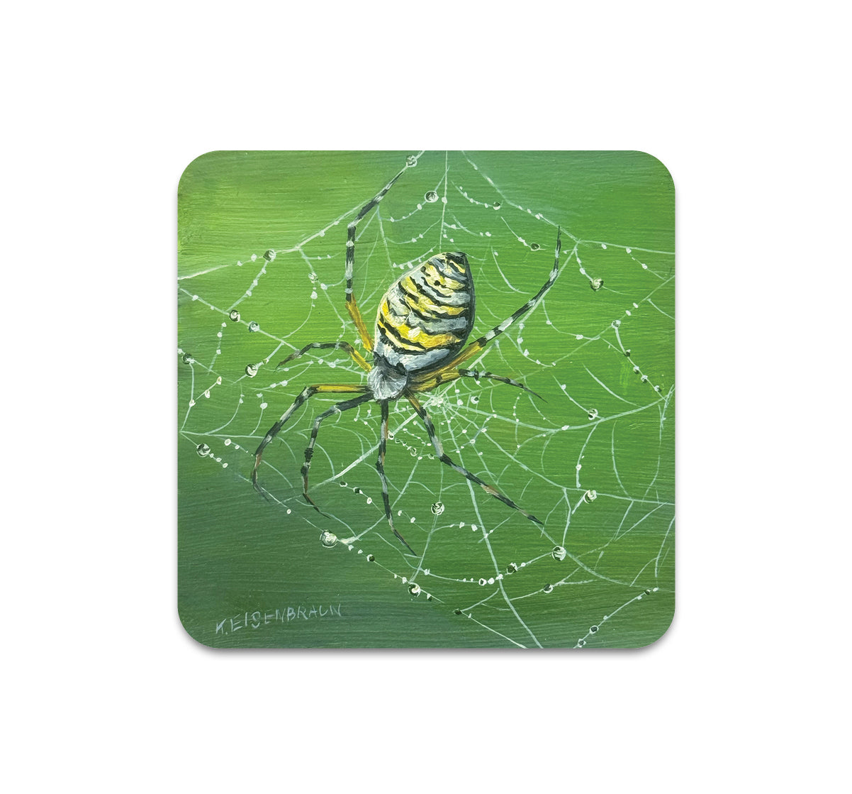 S11 Kristen Eisenbraun - Coaster 3