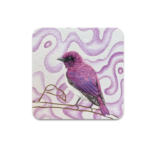 S11 Kristin Bell - Coaster 9