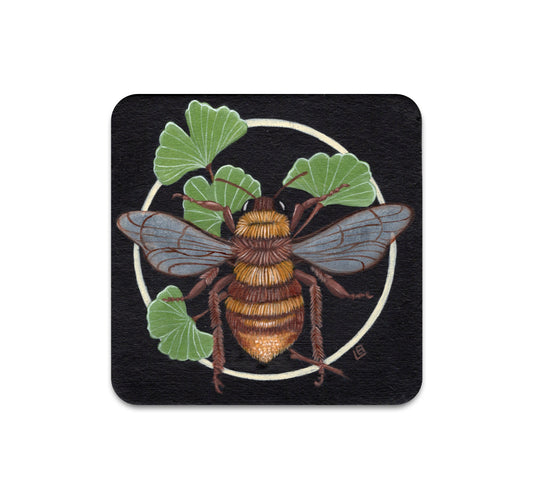 S11 Lea Barozzi - Coaster 2