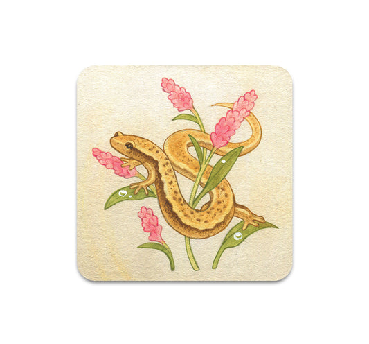S11 Lianne Pflug - Coaster 1