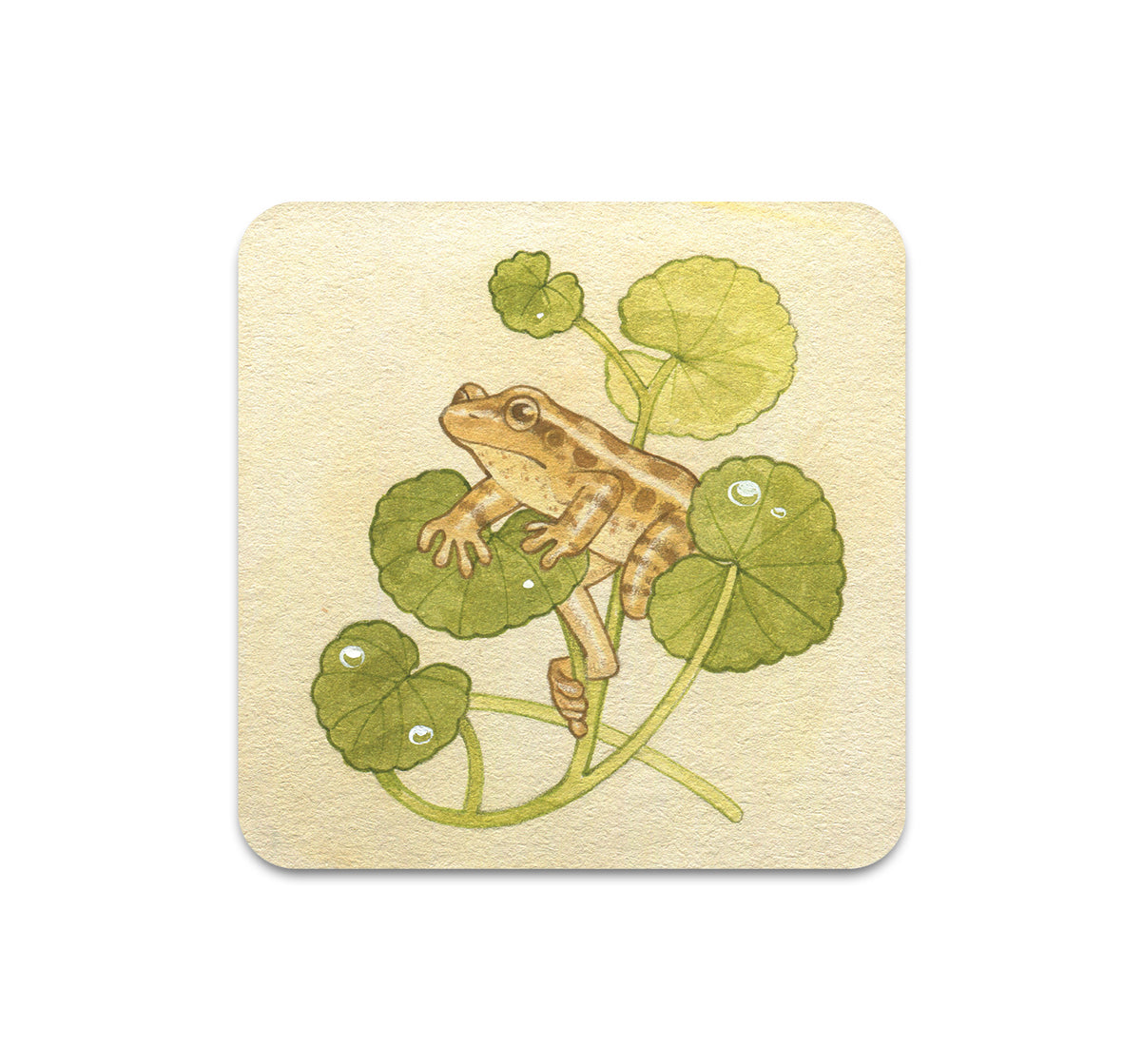 S11 Lianne Pflug - Coaster 3