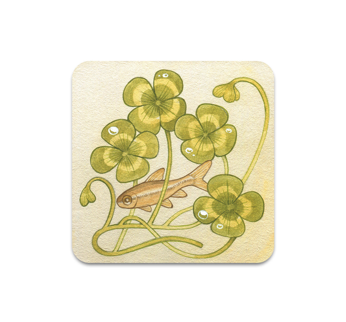 S11 Lianne Pflug - Coaster 5