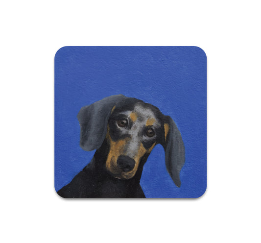 S11 Matthew Aceves - Coaster 1