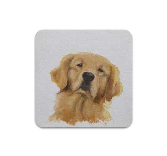 S11 Matthew Aceves - Coaster 2