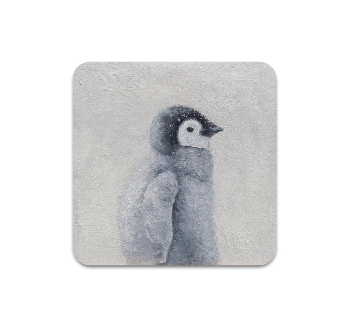 S11 Matthew Aceves - Coaster 4