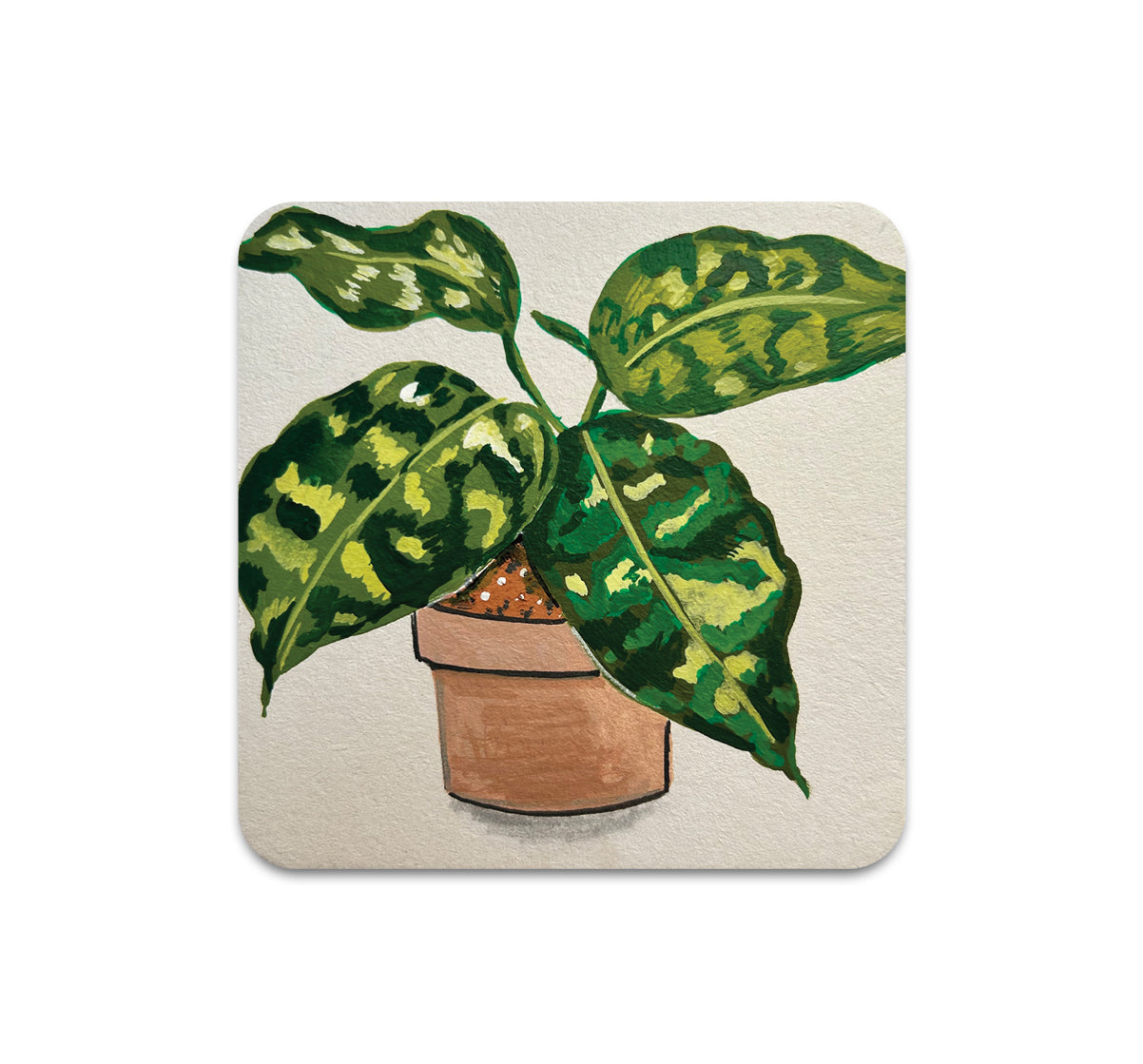 S11 Melly Trochez - Coaster 3