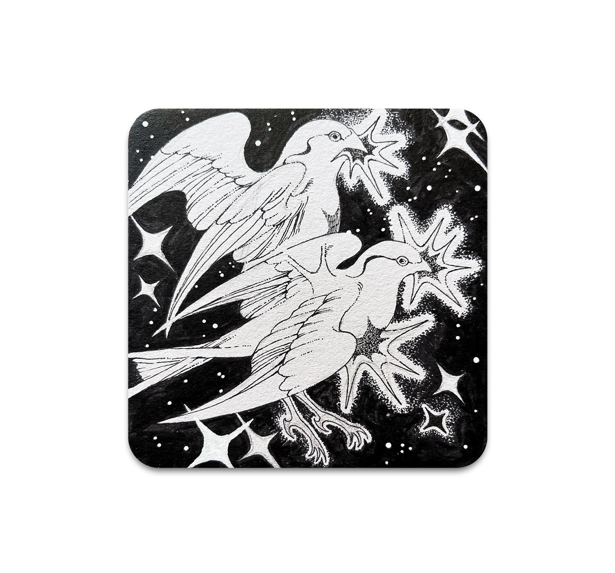 S11 NAKI - Coaster 2