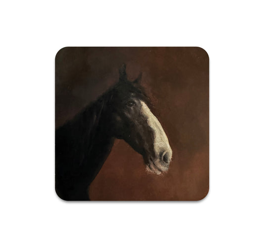S11 Nat Erickson - Coaster 2