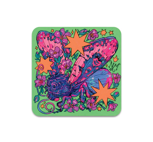 S11 Niky Motekallem - Coaster 1
