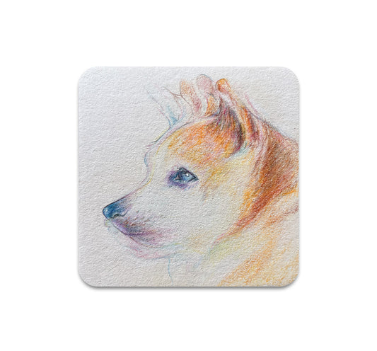 S11 Sophia Kiuchi - Coaster 4