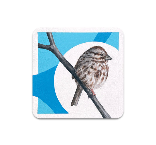 S11 Steve Martinez - Coaster 1