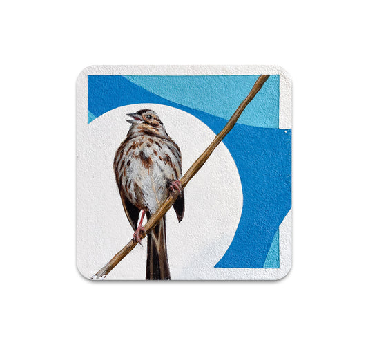 S11 Steve Martinez - Coaster 2