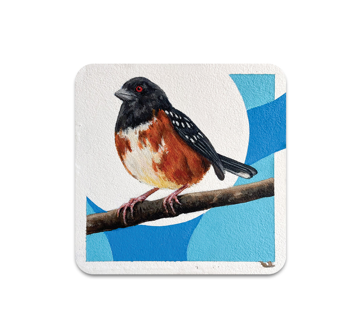 S11 Steve Martinez - Coaster 3