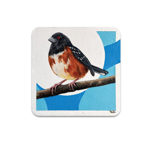 S11 Steve Martinez - Coaster 3