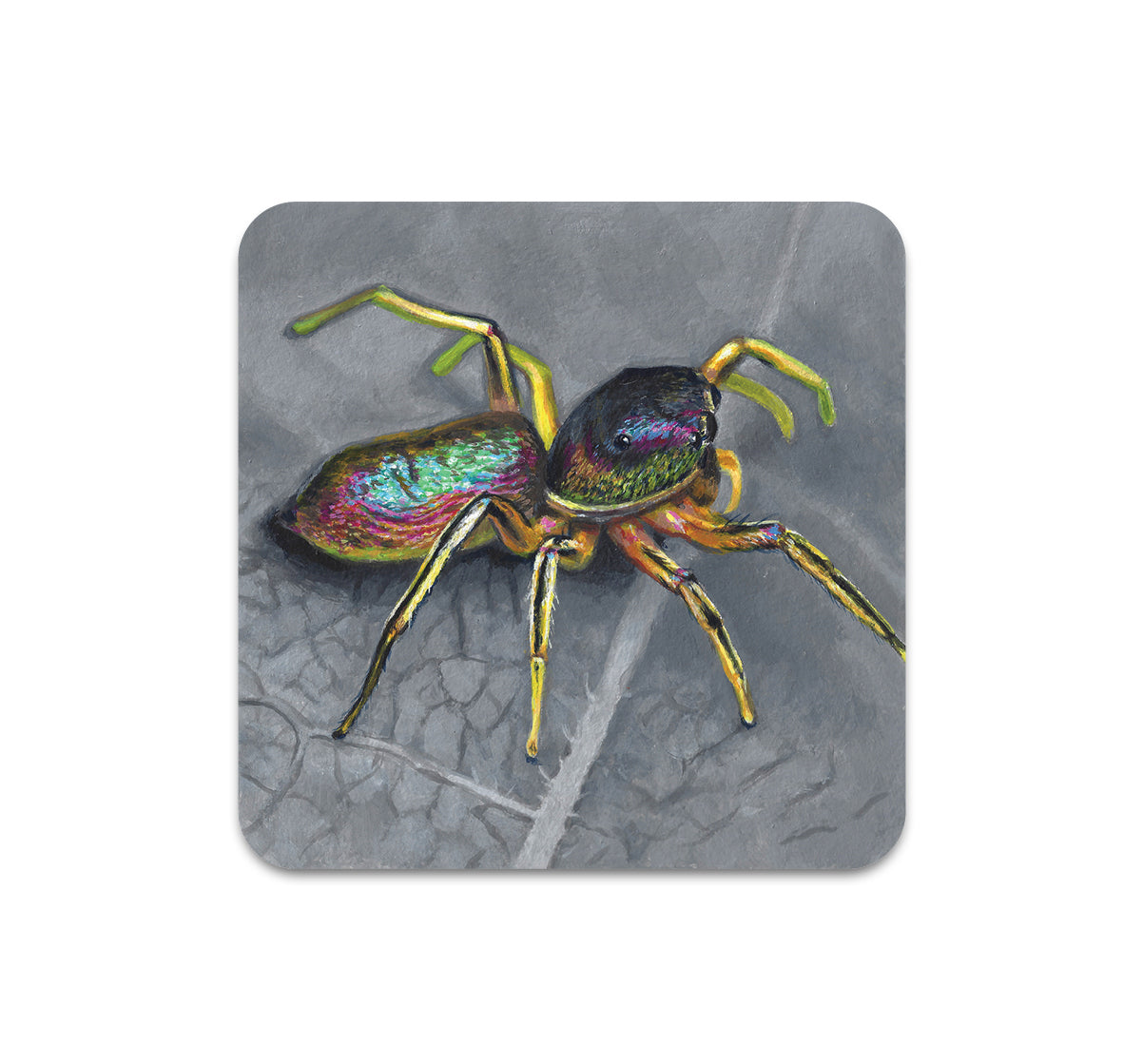 S11 Tegan Bellitta - Coaster 1